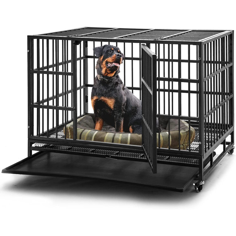 Large inside clearance dog kennel